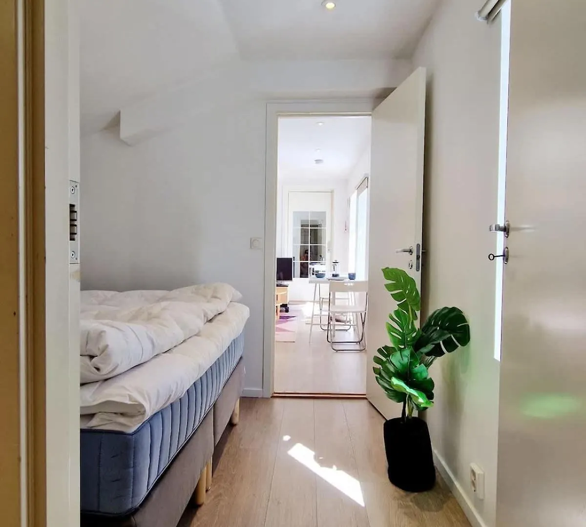 City Center Terrace In Quiet Backyard - Stylish Bergen Holiday home